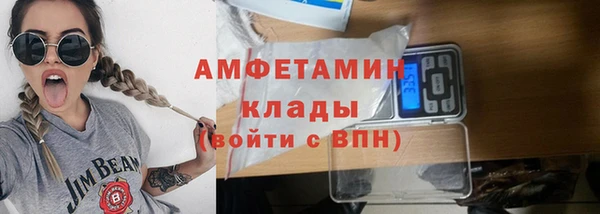 прущие грибы Верхний Тагил