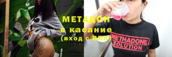 прущие грибы Верхний Тагил