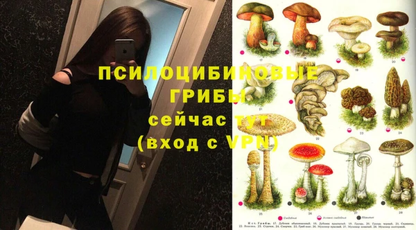 прущие грибы Верхний Тагил