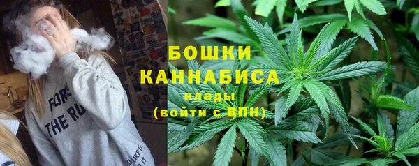 прущие грибы Верхний Тагил