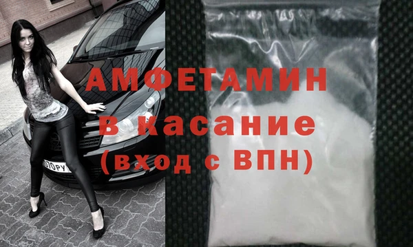 прущие грибы Верхний Тагил