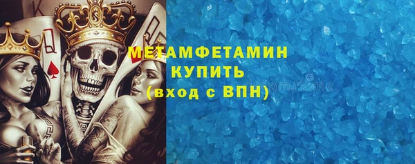 прущие грибы Верхний Тагил