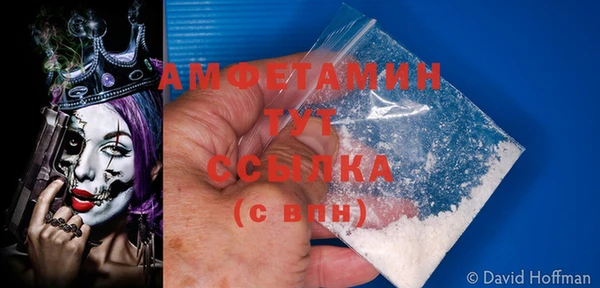 прущие грибы Верхний Тагил