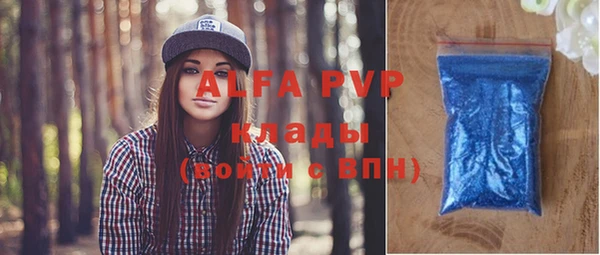 прущие грибы Верхний Тагил