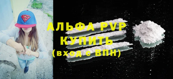 прущие грибы Верхний Тагил